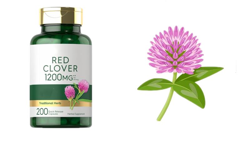 Effects of Red Clover Tablets：Women's Health Care